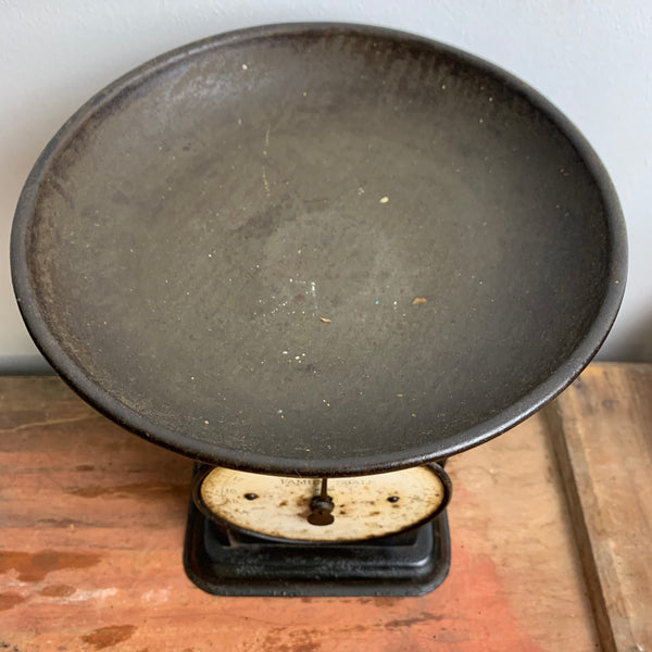 Antike englische Küchenwaage von Salter