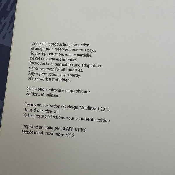 Modell Figur und Buch Tim und Struppi Das Gelbe Flugzeug Prototyp C.48 mit Zette aus Das Testament des M. Pump