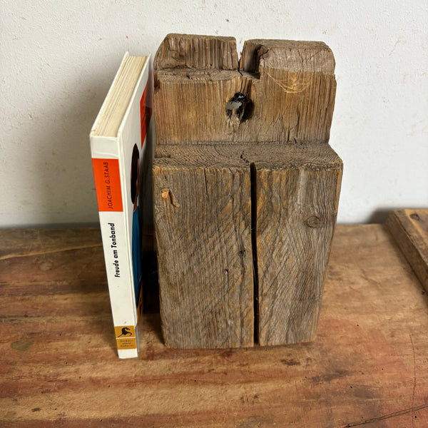 Buch Freude am Tonband