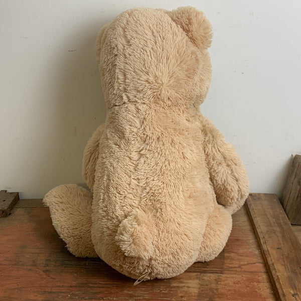 Großer Teddy Teddybär