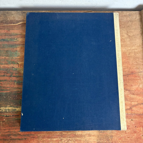 Buch Menschen Schönheit Gestalt und Antlitz des Menschen in Leben und Kunst von Hans W. Fischer