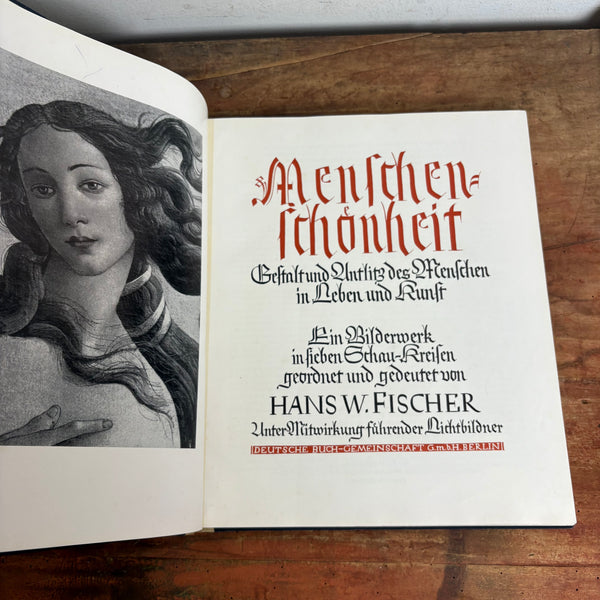 Buch Menschen Schönheit Gestalt und Antlitz des Menschen in Leben und Kunst von Hans W. Fischer