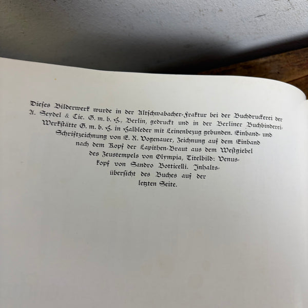 Buch Menschen Schönheit Gestalt und Antlitz des Menschen in Leben und Kunst von Hans W. Fischer