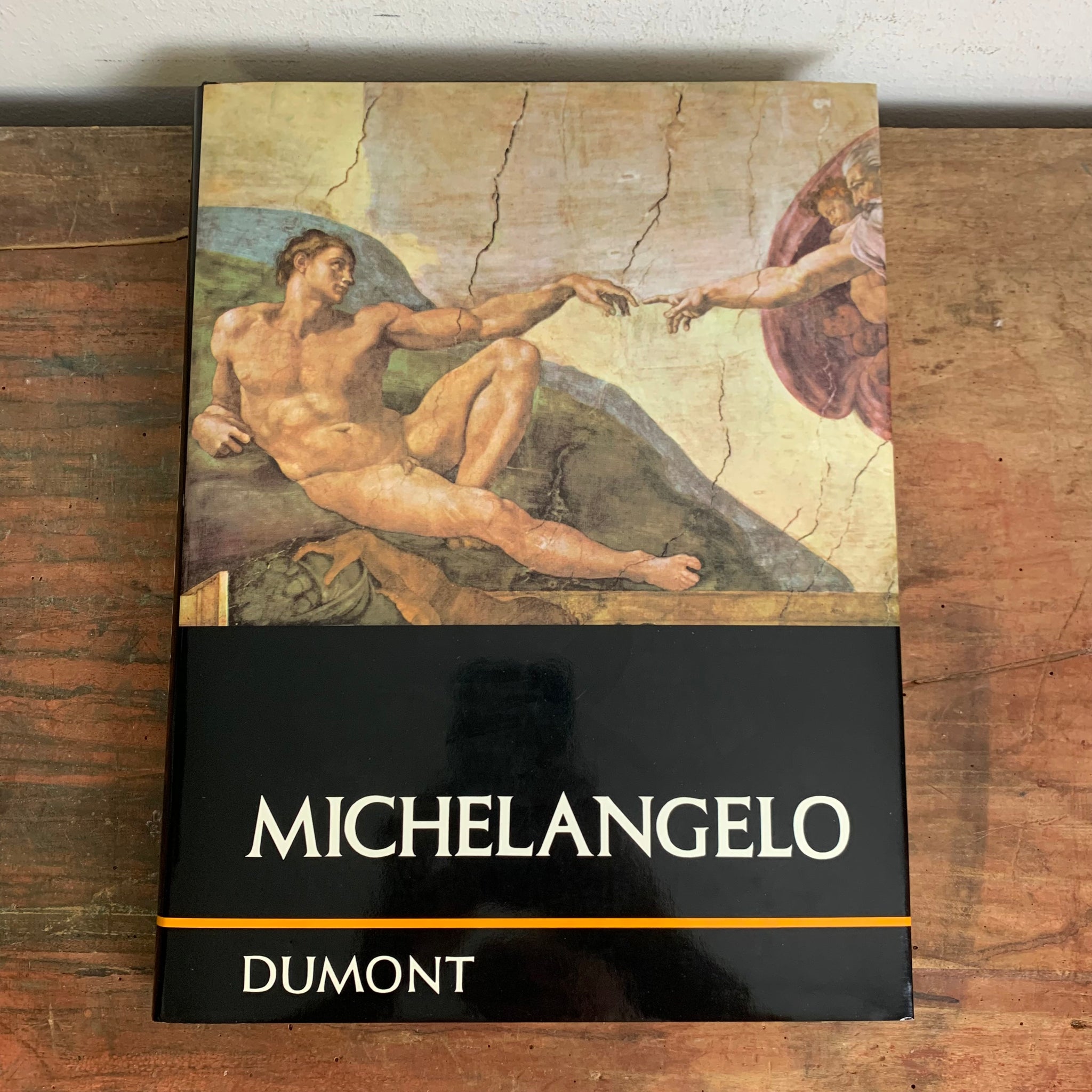 Kunst Buch Michaelangelo