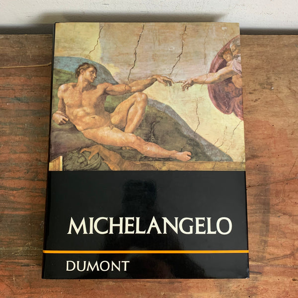 Kunst Buch Michaelangelo