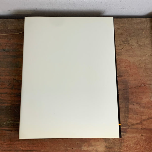 Kunst Buch Michaelangelo