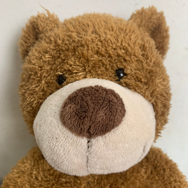 Teddy Teddybär