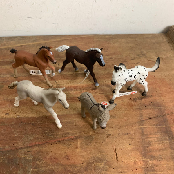 Konvolut 5 Tiere Schleich Esel Fohlen 13746 Oldenburger Fohlen 13947 Schwarzwälder Fohlen 13899 Holsteinischer Fohlen 13860 Knabstrupper Fohlen 13890 Pferd