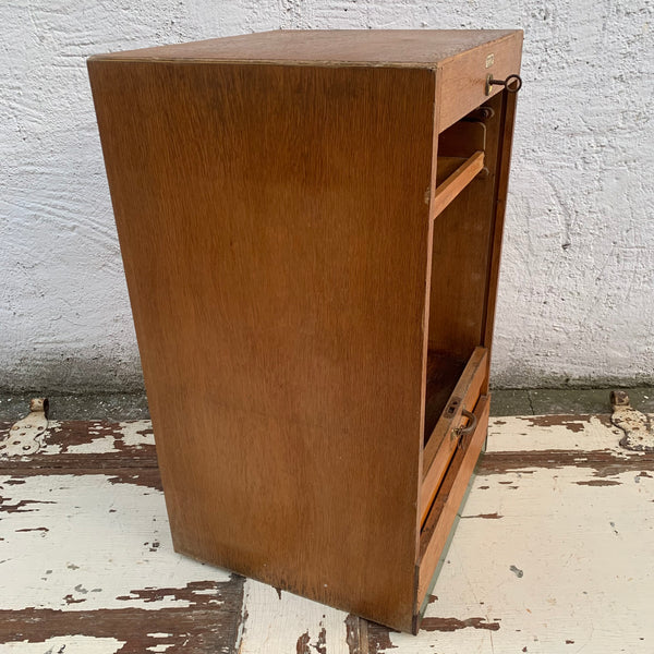 Vintage Rollschrank