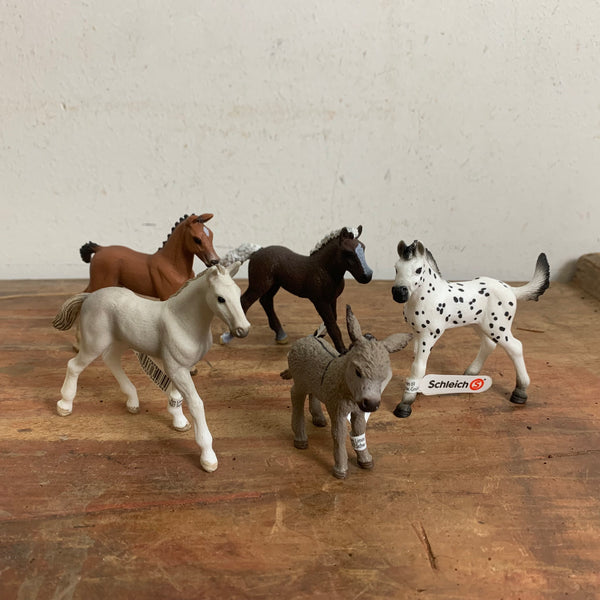 Konvolut 5 Tiere Schleich Esel Fohlen 13746 Oldenburger Fohlen 13947 Schwarzwälder Fohlen 13899 Holsteinischer Fohlen 13860 Knabstrupper Fohlen 13890 Pferd