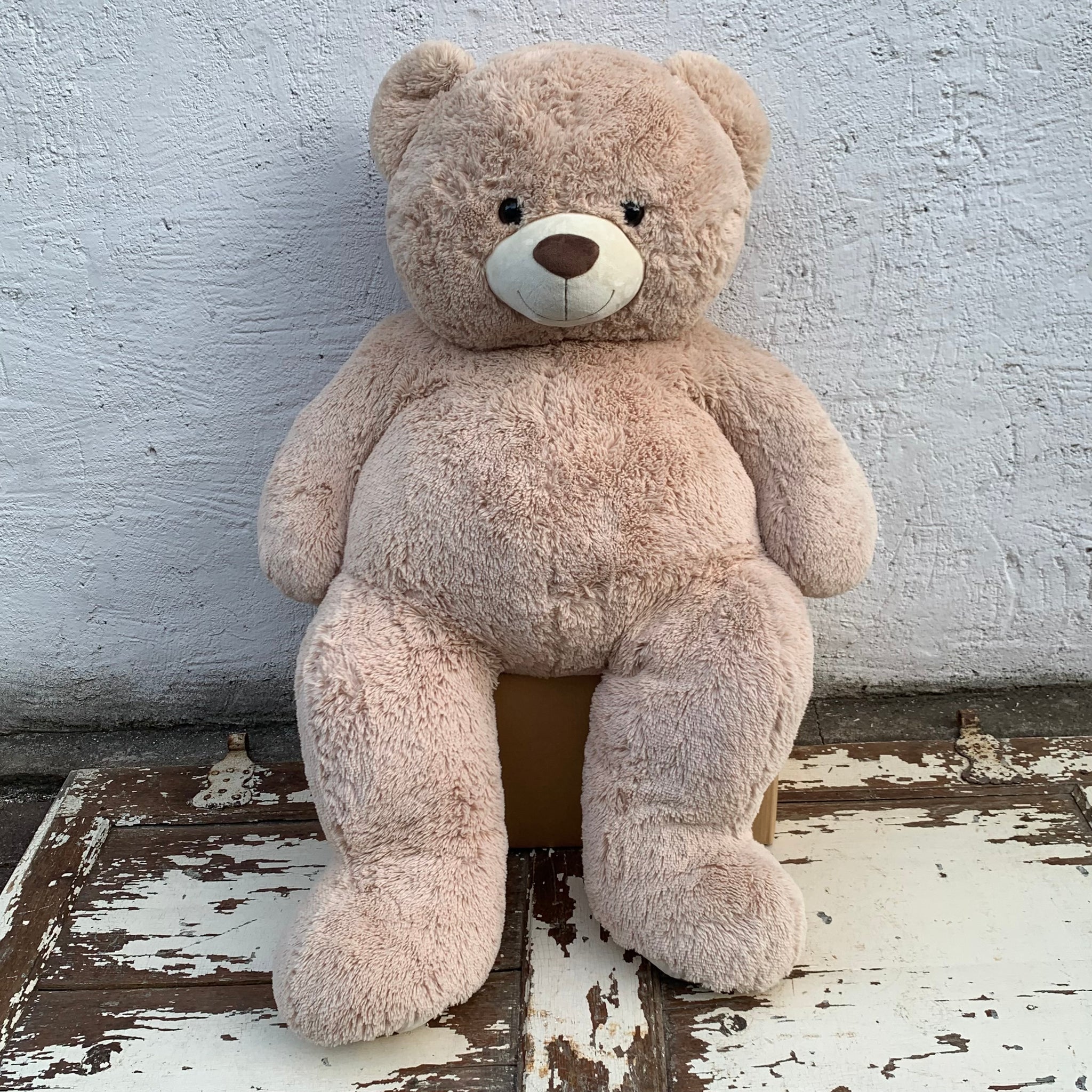 XXL Teddy Teddybär