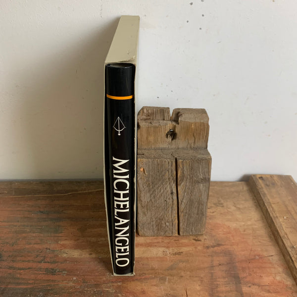 Kunst Buch Michaelangelo