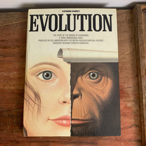 Pop Up Buch Evolution