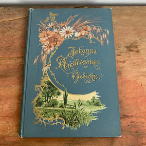 Buch Gedichte von Johanna Ambrosius