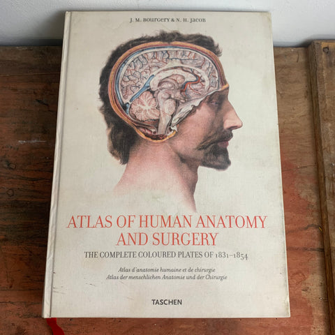 Buch Atlas of Human Anatomy and Surgary von Taschen