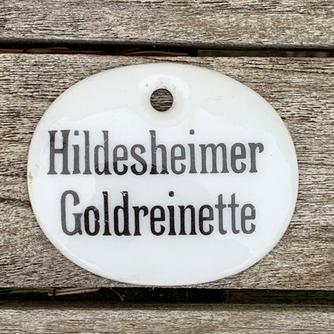 Porzellan Schild Apfel Hildesheimer Goldreinette