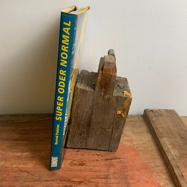 Buch Super oder Normal von Bernd Polster